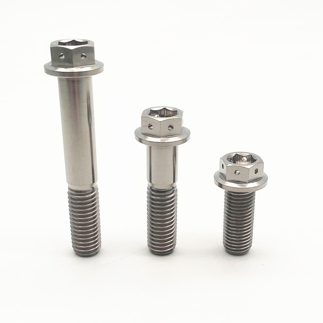 TA7 M7 Titanium Bolt TA7 M7 Titanium Bolt